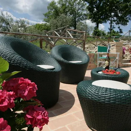 Holiday In With Swimming Pool